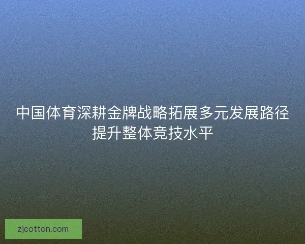 中国体育深耕金牌战略拓展多元发展路径提升整体竞技水平